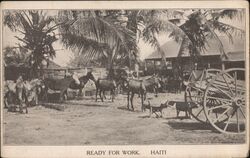 Ready for work. Haiti Postcard