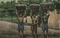 Igorote women carrying sweet potatoes Postcard