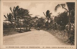 La Grange Road, North of Frederiksted, St. Croix Postcard