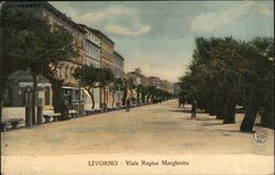 Viale Regina Margherita Livorno, Italy Postcard Postcard Postcard