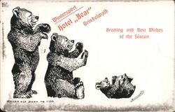 Wintersport Hotel "Bear" Postcard