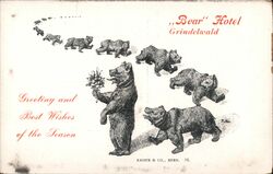 Bear Hotel Grindelwald, Germany Postcard Postcard Postcard