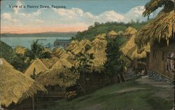 View of Native Interior Town Postcard