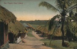 San Miguel, Pearl Island Postcard