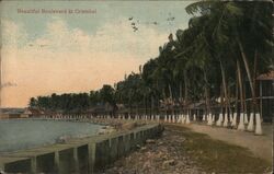 Beautiful Boulevard at Cristobal Postcard