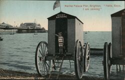 Marine Palace Pier Postcard