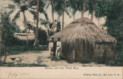 Natives and Hut Postcard