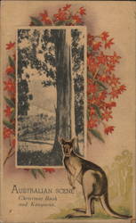 Australian Scene: Christmas Bush and Kangaroo. Postcard Postcard Postcard