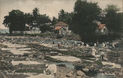 Roseau Dominica - Washers Caribbean Islands Postcard Postcard Postcard