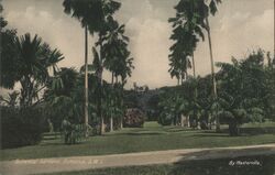 Botanical Gardens Postcard