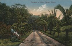 Entrance to Johore Garden, Johore Postcard