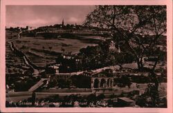 Garden of Gethsemane and Mount of Olives Egypt Postcard Postcard Postcard