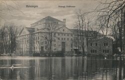 Herzogl. Hoftheater Meiningen, Germany Postcard Postcard Postcard