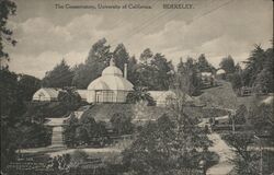 The Conservatory University of California Postcard