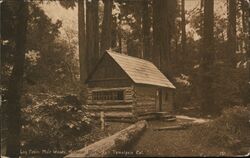 Log Cabin, Muir Woods National Park Postcard