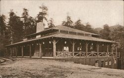 Muir Inn Mill Valley, CA Postcard Postcard Postcard