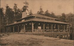 Muir Inn, Muir Woods Postcard