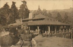 Tavern Muir Woods Postcard