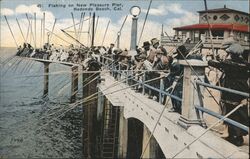 Fishing on New Pleasure Pier Postcard