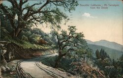 Beautiful California - Mt. Tamalpais from the Divide Mount Tamalpais, CA Postcard Postcard Postcard