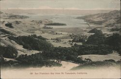 Aerial View of San Francisco Bay Postcard