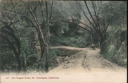 The Wagon Road Mount Tamalpais, CA Postcard Postcard Postcard