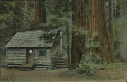 The Log Cabin in Muir Woods Mount Tamalpais, CA Postcard Postcard Postcard