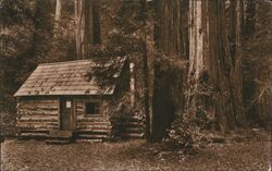 Log Cabin, Muir Woods Mt Tamalpais, CA Postcard Postcard Postcard