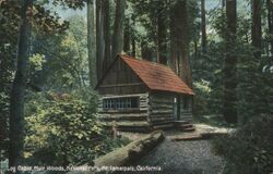 Log Cabin, Muir Woods, National Park Postcard