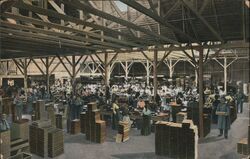 Fig Packing House Postcard