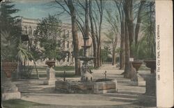 The City Park Postcard