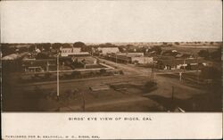 Birds' Eye View of Biggs, Cal. Postcard