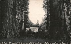 Hotel Calaveras in Big Tree Grove Postcard