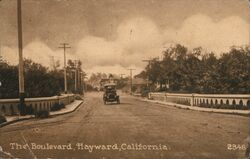 The Boulevard Postcard