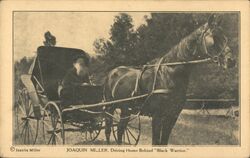 Joaquin Miller, Driving Home Behind "Black Warrior" Oakland, CA Postcard Postcard Postcard