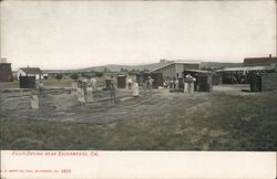 Fruit Drying Postcard