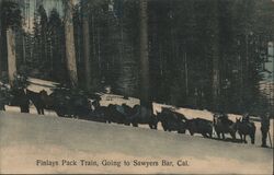 Finlays Pack Train Going to Sawyers Bar California Postcard Postcard Postcard