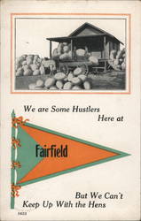 We are some Hustlers Here at Fairfield But We Can't Keep Up With the Hens Postcard