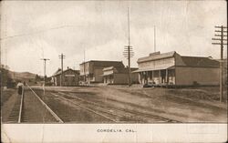 Cordelia, Cal. California Postcard Postcard Postcard