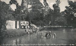 Sulfur Lake, Vallejo White Sulfur Springs California Postcard Postcard Postcard