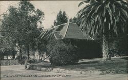 Bungalow in Park, Byron Hot Springs California Postcard Postcard Postcard