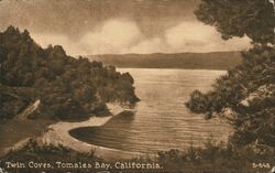 Twin coves, Tomales Bay Marshall, CA Postcard Postcard Postcard