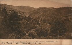 View of second Valley and Mt. Vinson Postcard