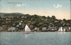 Sausalito, California Postcard