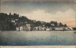 Sausalito California Postcard