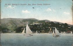 Boating In Sausalito Bay Postcard