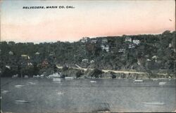 Belvedere, Marin County California Postcard Postcard Postcard