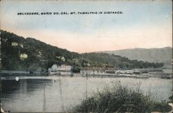 Belvedere, Marin Co. Cal. Mt. Tamalpais in Distance. California Postcard Postcard Postcard