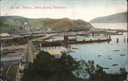 Tiburon, Marin County Postcard