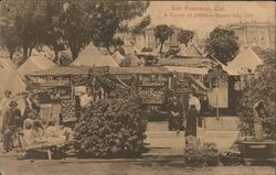 A Corner of Jefferson Square, May 1906 San Francisco, CA 1906 San Francisco Earthquake Postcard Postcard Postcard